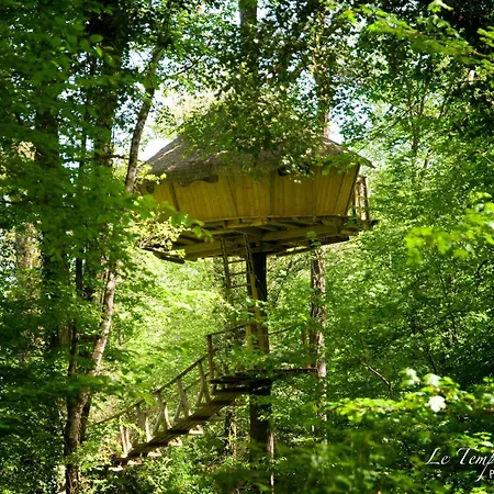 Parc De La Belle * Magne (Vienne)