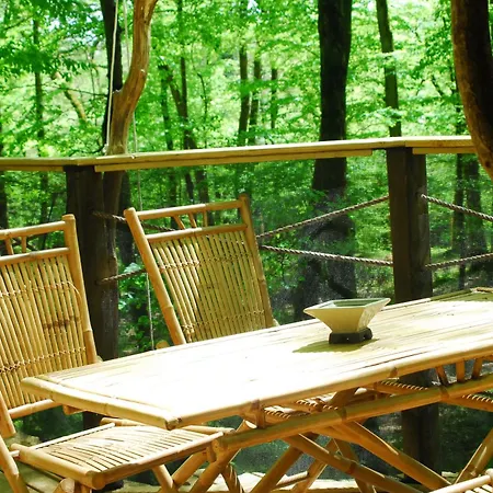 Parc De La Belle Camping *