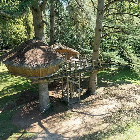 Parc De La Belle * Magne (Vienne)